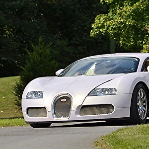 Bugatti Veyron, 2009, Lilac
