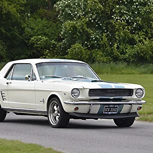 Ford Mustang, 1966, White, blue stripes