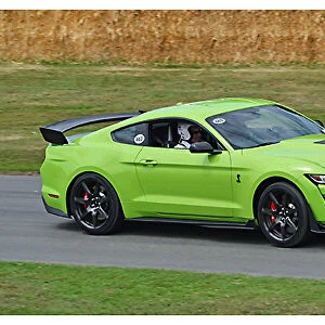 Ford Mustang GT 500 2019 Green