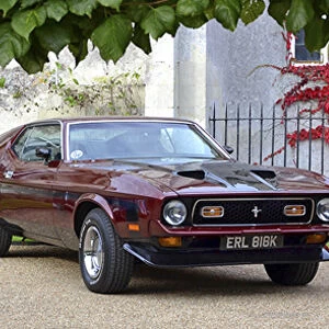 Ford Mustang Mach 1 1971 Red & black & black