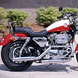 Harley Davidson 1200cc Sportster