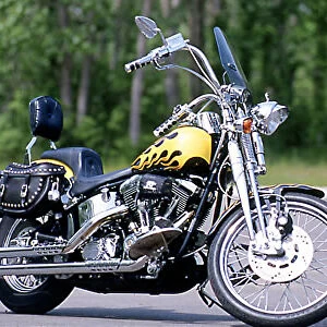 Harley Davidson Softail Springer Custom US USA