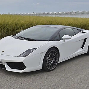 Lamborghini Gallardo LP560-4, 2013, White, & black
