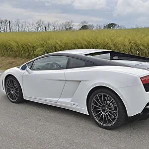 Lamborghini Gallardo LP560-4, 2013, White, & black