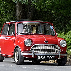 Mini Austin Mini 1100 1962 Red black roof