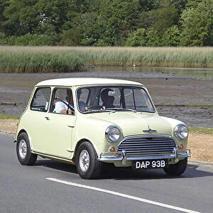 Mini Morris Coopers 1964 Yellow