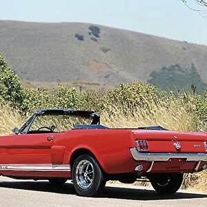 Shelby GT350 Mustang Convertible