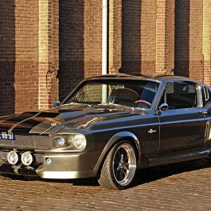 Shelby GT500 Mustang
