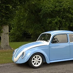 VW Volkswagen Beetle Classic Beetle (Cal look)