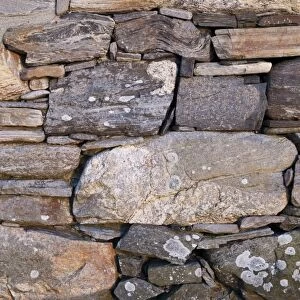 Close-up of drystone wall at abandoned croft, Unst, Shetland Islands, Scotland, June