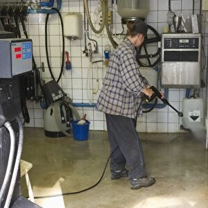 Dairy farmer cleaning milking parlour with pressure washer after morning milking, Tierp, Sweden, july