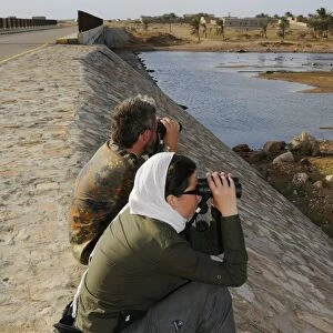 Ornithologists with binoculars, surveying birds in wadi along road, Socotra, Yemen, december