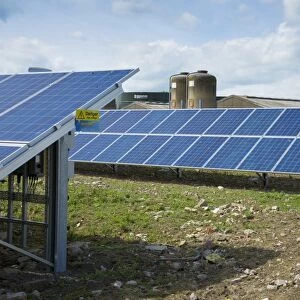 Solar panels used to generate electricity for pig farm, Driffield, East Yorkshire, England, June