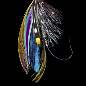 Atlantic Salmon Fly designs Jay Body