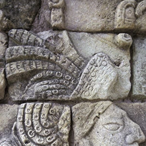CA, Honduras Mayan wall carvings at Copan Ruinas