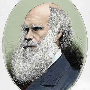 DARWIN, Charles Robert (1809-1882) British naturalist. Colored engraving