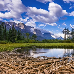 Driftwood and pond, Saint Mary Lake, Glacier National Park, Montana
