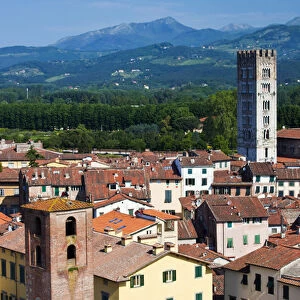 Europe; Italy; Lucca; The Tower San Frediano Stands above the roof tops
