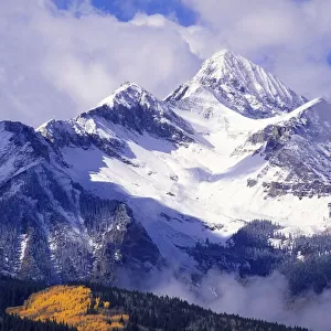 Fall aspens and fresh powder on Wilson Peak, San Juan Mountains, Uncompahgre National Forest