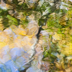 Fall colors reflect in the rippled waters of a pond, looking like a painting