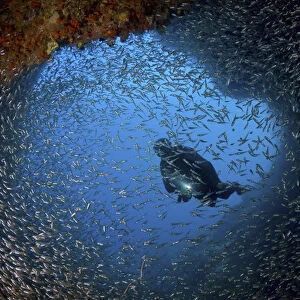 Indonesia, Papua, Raja Ampat. Schooling baitfish and diver at cave entrance. Credit as