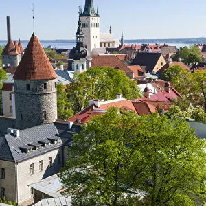 Medieval town walls and spire of St. Olavs church, view of Tallinn from Toompea hill