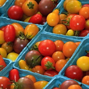 North America, USA, Georgia; Savannah; Cherry tomatoes at a farmers market