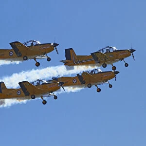 The Red Checkers Aerobatic Display Team with CT-4B Airtrainers