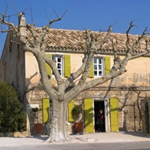 The restaurant Bistrot La Petite France in Le Paradou with a naked tree and a person