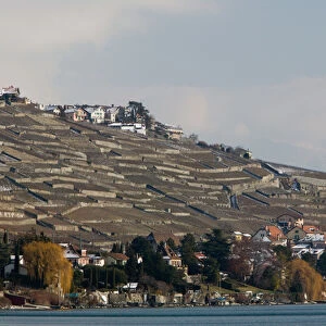 SWITZERLAND-(Vaud)-Swiss Riviera-CULLY: Hillsides above CULLY / Winter Shore of Lake
