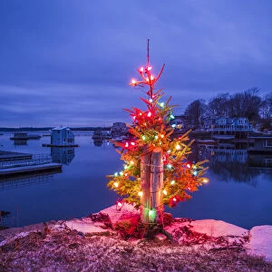USA, Massachusetts, Cape Ann, Annisquam. Lobster Cove, Christmas Tree