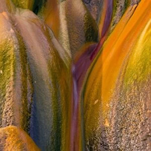 USA, Nevada, Black Rock Desert. Close-up of Fly Geyser rock stained different colors