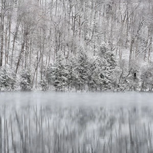 USA, New York State. Winter trees reflected in Round Lake, Green Lakes State Park