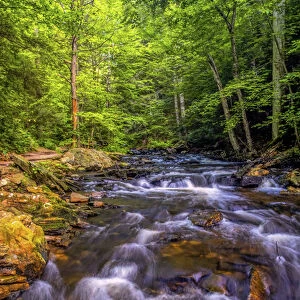 USA, Pennsylvania, Benton, Ricketts Glen State Park. Kitchen Creek cascade. Credit as