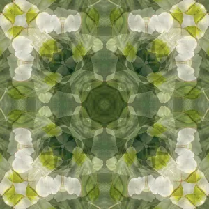 Yellow, green and white floral abstract