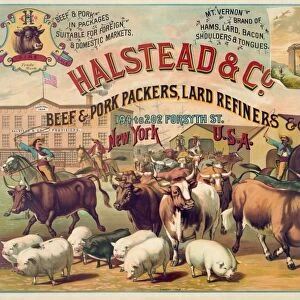 AD: MEATPACKING, 1886. Advertisement for Halstead and Company, beef and pork packers