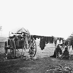 A Cheyenne family in the western United States, in a canvas-covered tipi, drying meat and sausage. Photograph, late 19th century