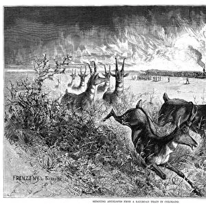 COLORADO: HUNTING, 1875. Shooting Antelopes from a Railroad Train in Colorado