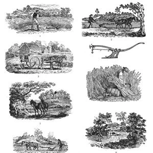 FARMING, 19th CENTURY. Wood engraving, early 19th century