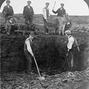 IRELAND: PEAT DIGGING. Men cutting peat from a bog and loading it on a donkey, near Kiltoom