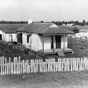LOUISIANA: CABIN, 1937. A workers cabin on a sugarcane plantation at Bayou La Fourche, Louisiana