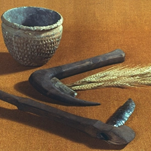 NEOLITHIC SICKLES, c3000 B. C. Neolithic flint sickles (in modern handles) and pottery bowl from Thames, England, c3000 B. C