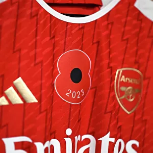 Arsenal Women Honor Heroes in Poppy Tribute: Arsenal vs Leicester City, Barclays WSL