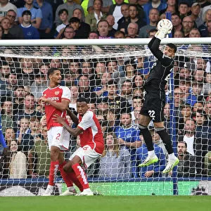 Arsenal's David Raya Goes Head-to-Head with Everton in Premier League Showdown (2023-24)