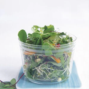 Clear glass bowl of Asian salad with pea shoots and sprouts on blue tile