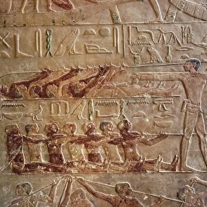 Egypt, Memphis, Saqquara necropolis, Mastaba of Ptahhotep, Relief with bird hunting scene