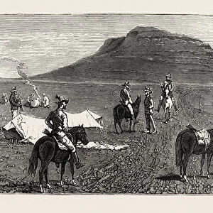 Encampment Of Bettingtons Horse