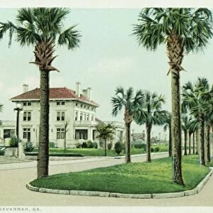 Estill Ave. Savannah, GA. Postcard. ca. 1915-1930, Estill Ave. Savannah, GA. Postcard