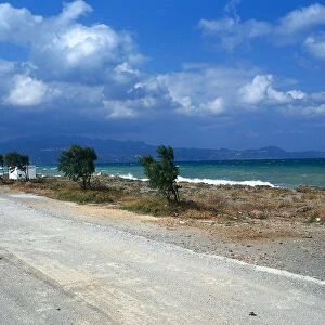 Greece, Evvoia, Ochthonia, wild, exposed beach, windswept trees and choppy sea