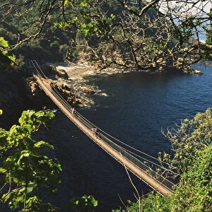 A hanging bridge across Storms River Mouth in the Tsitsikamma National Park